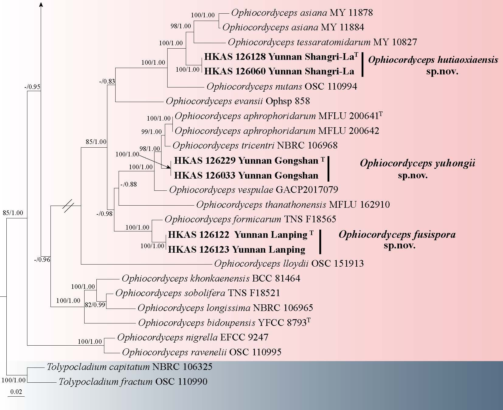 Figure 77